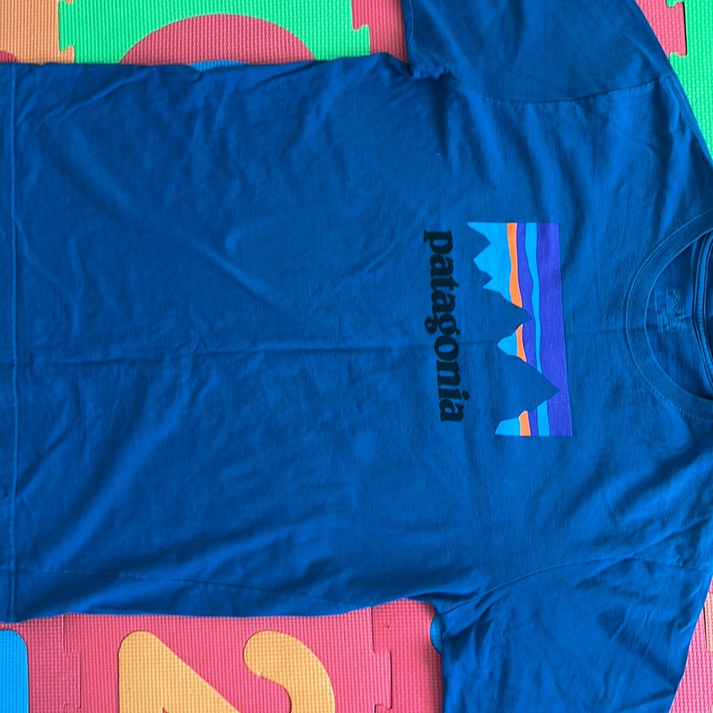 Long Sleeve Patagonia Shirt